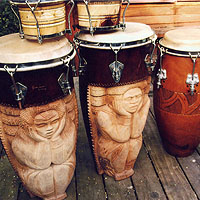 David Bradish's drums
